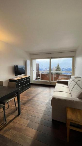 Résidence Roche Mantel - APPARTEMENT ALPE D'HUEZ 27m2 ECLOSE EST MAE-0541 Huez